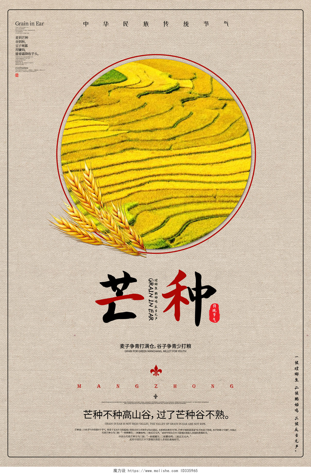 简约传统二十四节气之芒种麦穗麦子水稻节气宣传海报